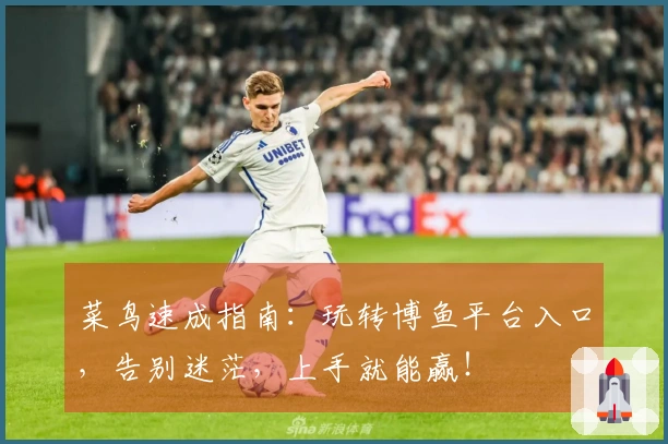 菜鸟速成指南：玩转博鱼平台入口，告别迷茫，上手就能赢！