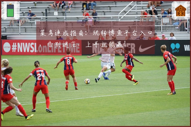 菜鸟速成指南：玩转博鱼平台入口，告别迷茫，上手就能赢！