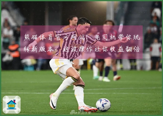 熊猫体育官方网站：老司机带你玩转新版本，这波操作让你收益翻倍！